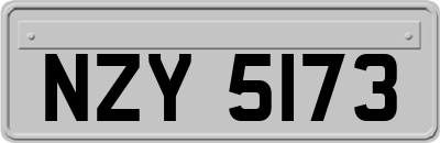 NZY5173