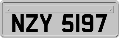 NZY5197