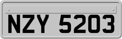 NZY5203