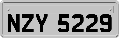NZY5229