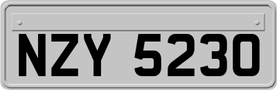 NZY5230