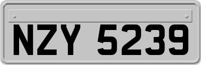 NZY5239