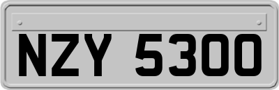 NZY5300