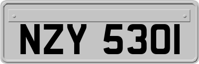 NZY5301