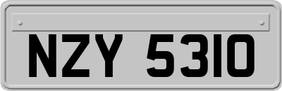 NZY5310