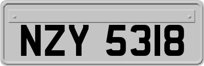 NZY5318