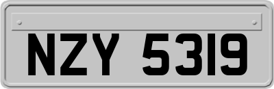 NZY5319