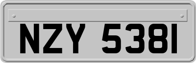 NZY5381