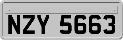 NZY5663