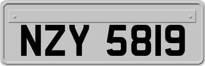 NZY5819
