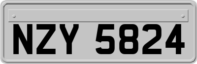 NZY5824