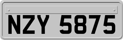NZY5875