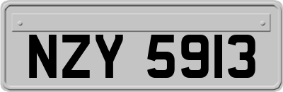 NZY5913