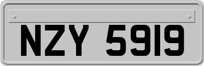 NZY5919