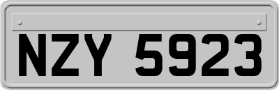 NZY5923