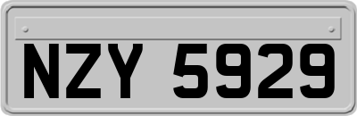 NZY5929