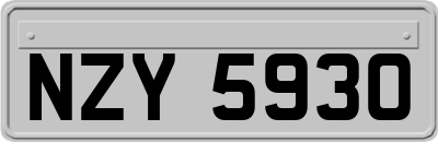 NZY5930