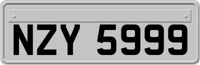 NZY5999