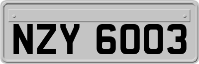 NZY6003