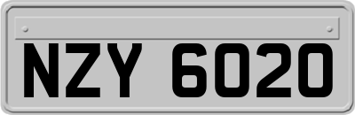 NZY6020