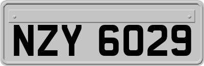 NZY6029