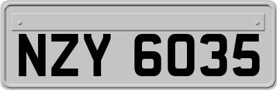 NZY6035