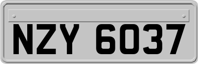 NZY6037