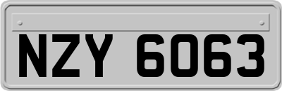 NZY6063
