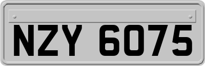 NZY6075