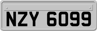 NZY6099