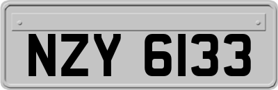 NZY6133