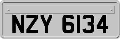 NZY6134