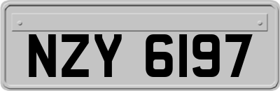 NZY6197
