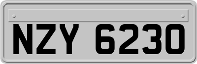 NZY6230