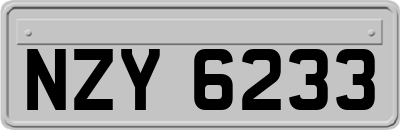 NZY6233