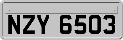 NZY6503