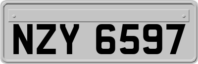 NZY6597