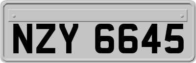 NZY6645