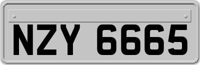 NZY6665