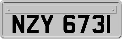 NZY6731
