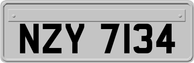 NZY7134