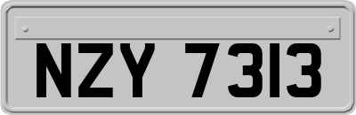 NZY7313