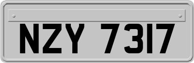 NZY7317