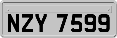 NZY7599