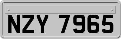 NZY7965