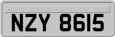 NZY8615