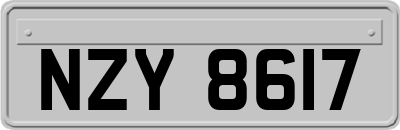 NZY8617