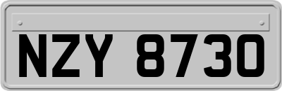 NZY8730