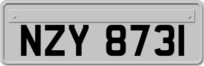 NZY8731