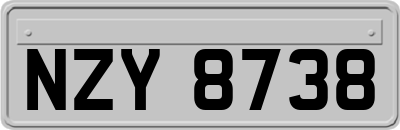NZY8738
